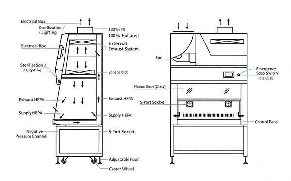 Class II Biological Safety Cabinet | BSC with HEPA Filter 3