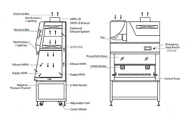 Biological Safety Cabinet Airflow Diagram